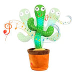 Cactus bailarín