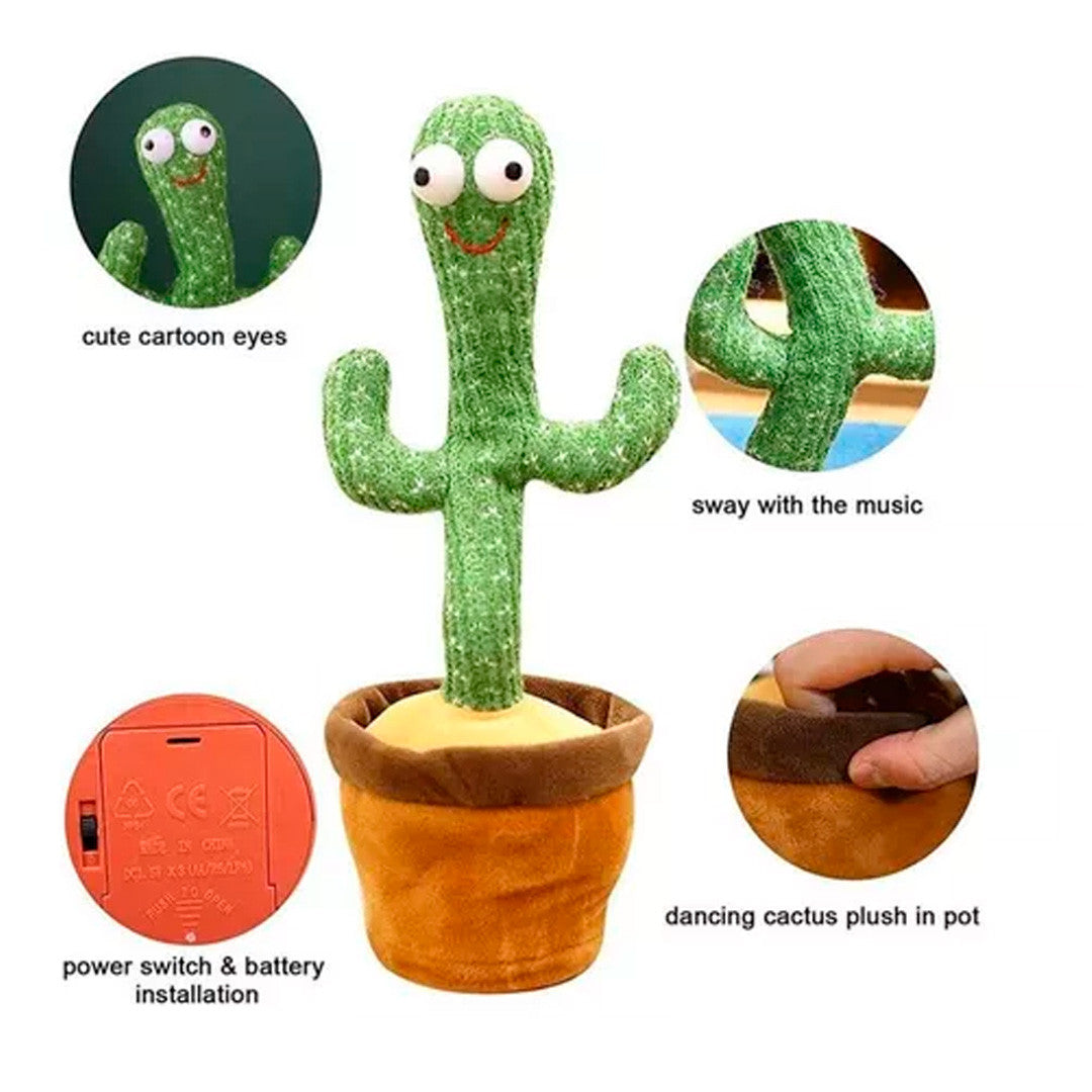 Cactus bailarín